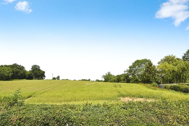 View Into Fields
