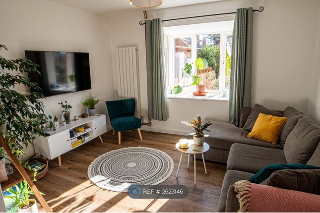Spacious Living Room
