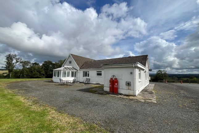 Brynhebog, Llandysul photo 2