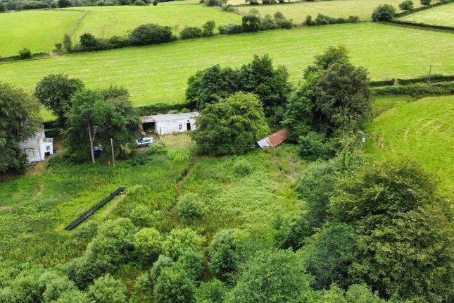 Barn at Penrhos, Tregaron photo 4