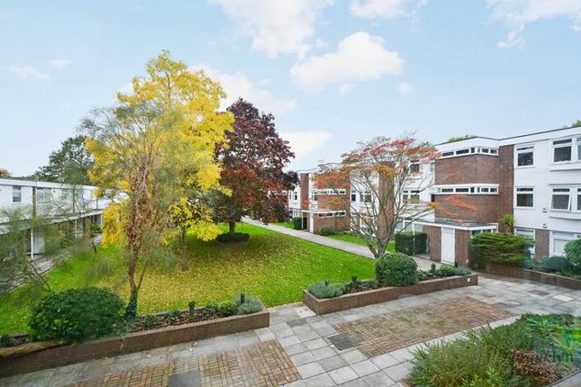 Minerva Lodge, London photo 3