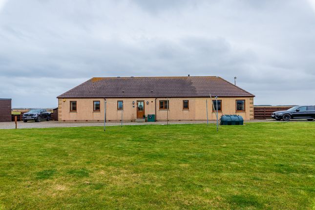 Thumbnail Detached bungalow for sale in Kestrel View, Wick