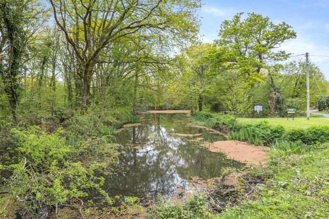 Detached bungalow for sale in Tickners Heath, Alfold