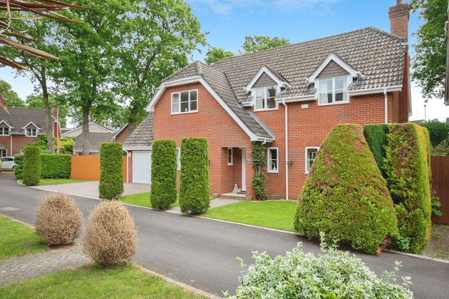 19, Bridleways, Verwood photo 4