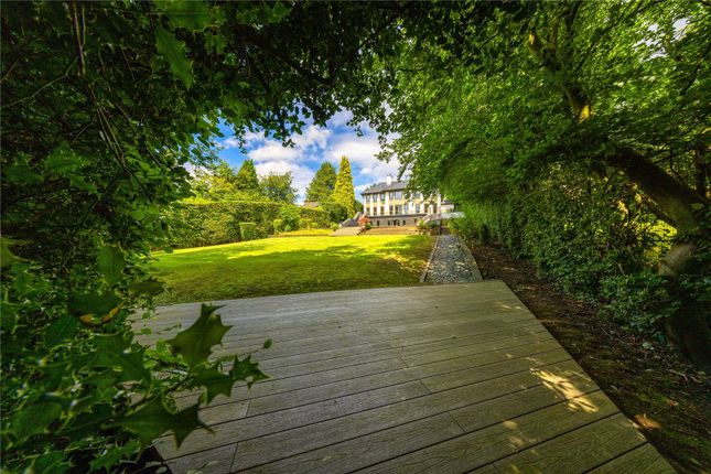 Rear Gardens