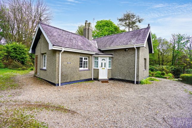 Bwthyn Lon Dywod, Pwllheli photo 4