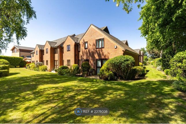 Shady Spots To Sit Out On Summer Days