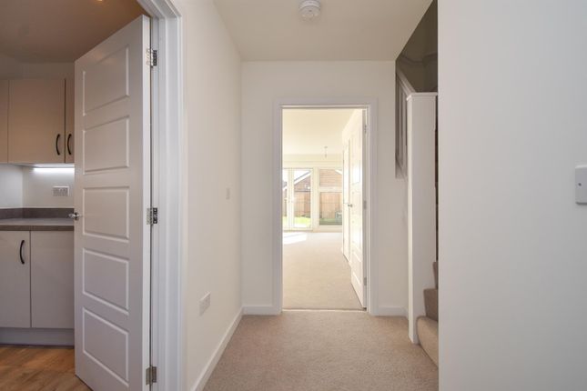10, Glenister Way, St Leonards On Sea photo 3