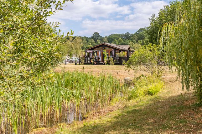 50, The Warren Lodge, Maldon photo 2