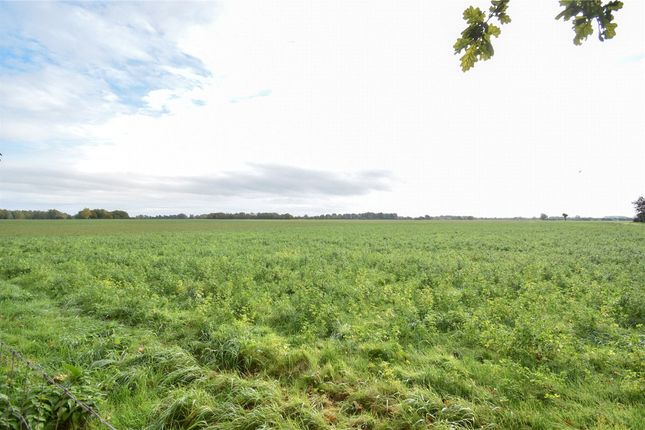Colnefields, Huntingdon photo 3