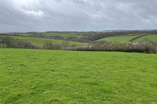 Land for sale in Northlew, Okehampton, Devon