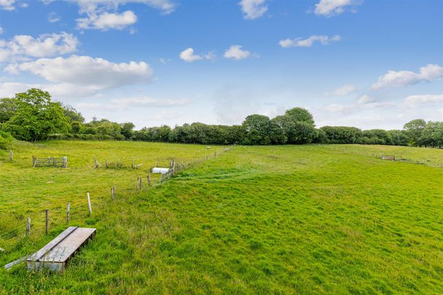 The Granary, East Cornworthy, Totnes photo 3