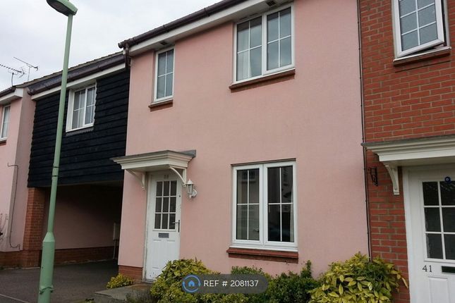 Thumbnail Terraced house to rent in Spindler Close, Ipswich