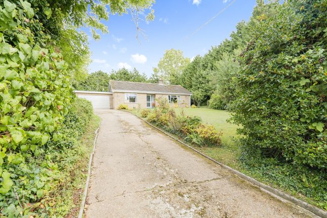 Thumbnail Bungalow for sale in Chalk Hill, Great Cressingham, Thetford, Norfolk