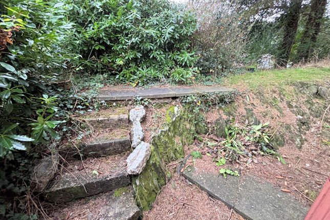 CHALET 36, WOODLANDS, BRYNCRUG photo 3