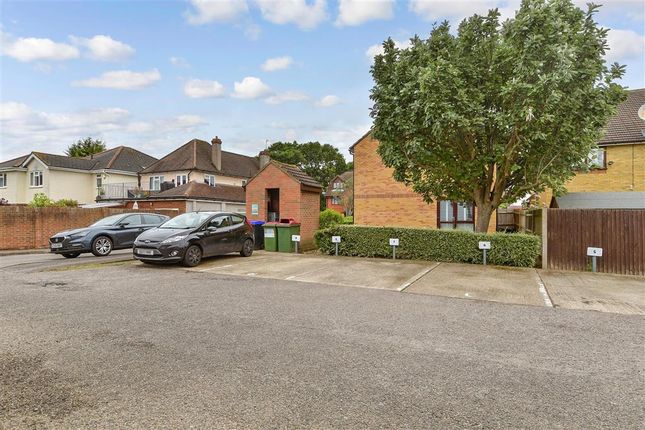 Driveway/Parking