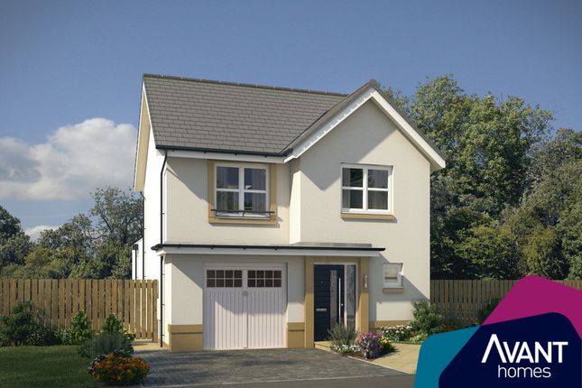 Thumbnail Detached house for sale in "The Newton" at Cochrina Place, Rosewell
