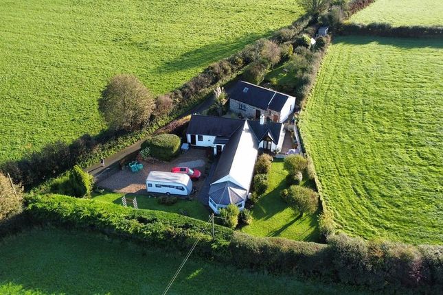 Ty Coed &amp; Annexe