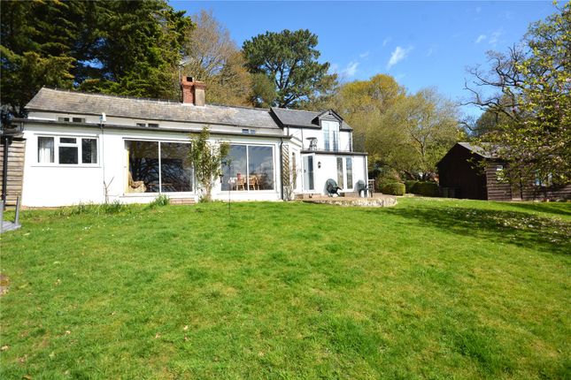 Detached house for sale in Newgrounds, Godshill, Fordingbridge, Hampshire