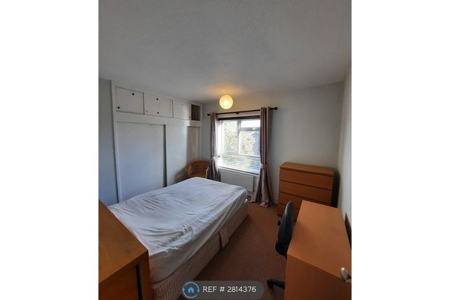 Russet Grove, Norwich photo 4