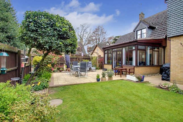 8b Trafford Road, Wisbech photo 3