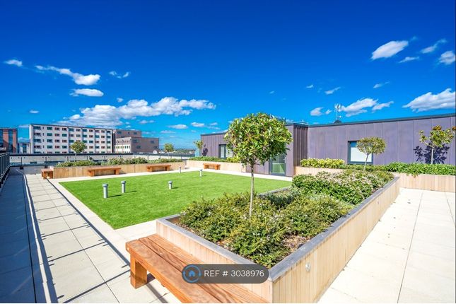 Eagle Heights, Waterside Way London, Tottenham Hale photo 4