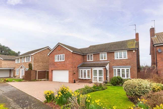 Thumbnail Detached house for sale in Netherby Close, Tring