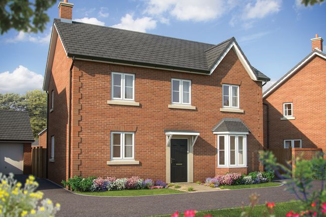 Thumbnail Detached house for sale in "Chestnut" at Merton Road, Rumwell, Taunton