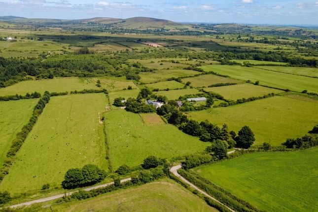 Ty Canol, Rhosfach, Clunderwen photo 2