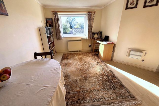 68, St. Albans Road, Canterbury photo 4