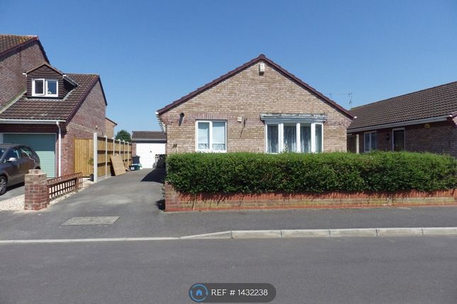 3 bed bungalow to rent in Brook Road, Williton, Taunton TA4