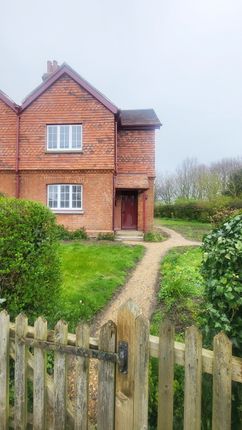 Semi-detached house to rent in Poplar Lane, Hurst, Reading