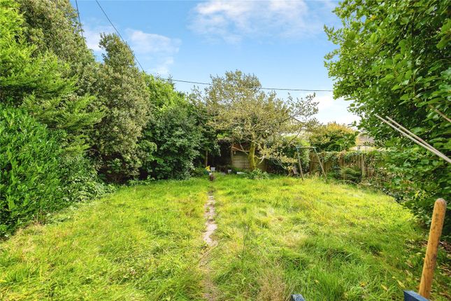 Chiquita, 35, Clease Road, Cornwall photo 3
