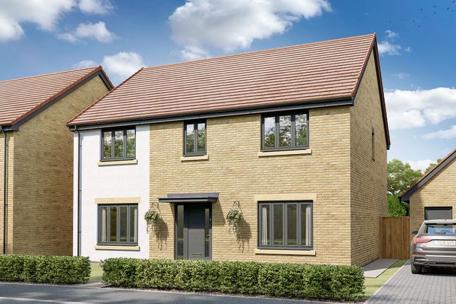 Detached house for sale in "The Barmouth" at Lipwood Way, Wynyard, Billingham