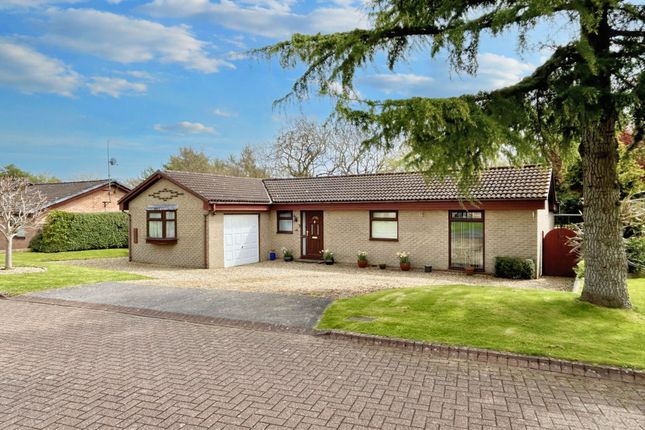 Thumbnail Bungalow for sale in Marwood Grove, Peterlee