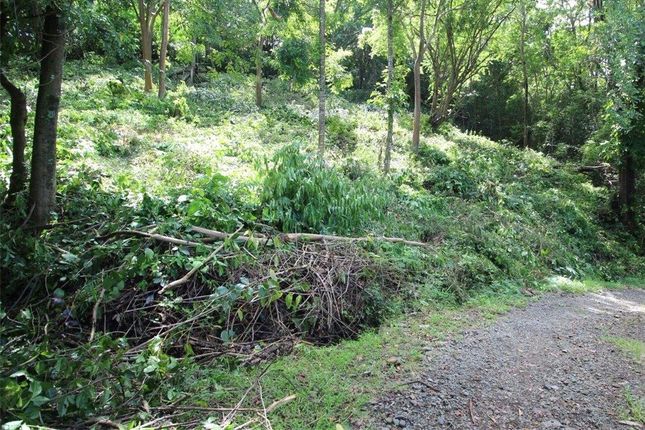 Thumbnail Land for sale in Rodney Bay, Saint Lucia, St Lucia
