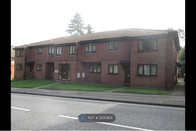 Thumbnail Flat to rent in Petersfield Road, Bordon