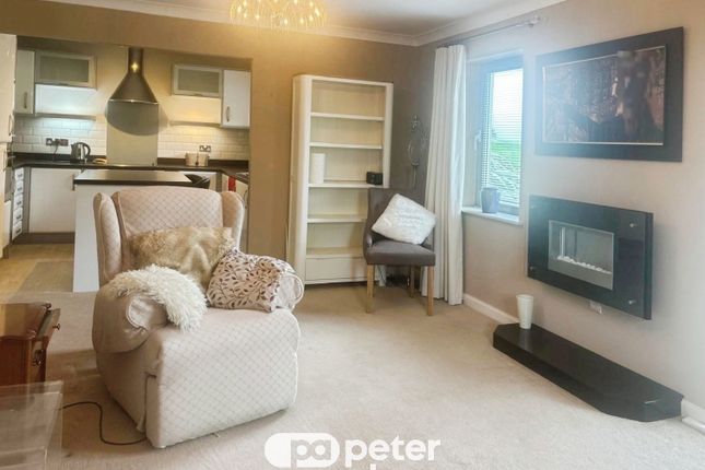 65, Swansea photo 2