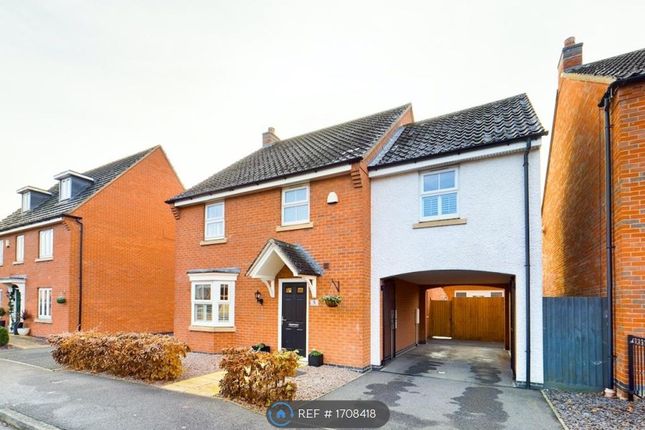 Thumbnail Detached house to rent in Palmer Road, Lincoln