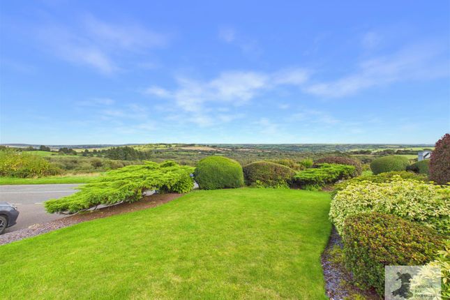 High View, Pentregalar, Crymych photo 2