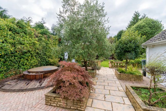 444, Wimborne Road East, Ferndown photo 3