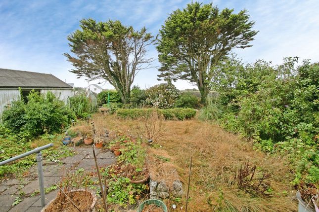 Main Road, Cornwall photo 4