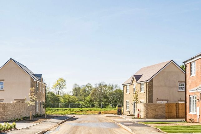 Plot 16, The Halsway, Neroche Meadows, Broadway photo 2