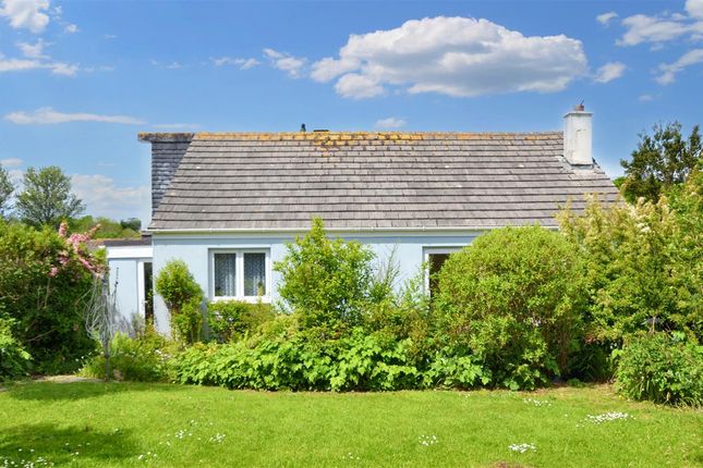 Thumbnail Bungalow for sale in Church Way, Falmouth