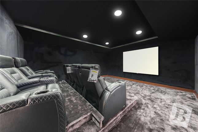Cinema