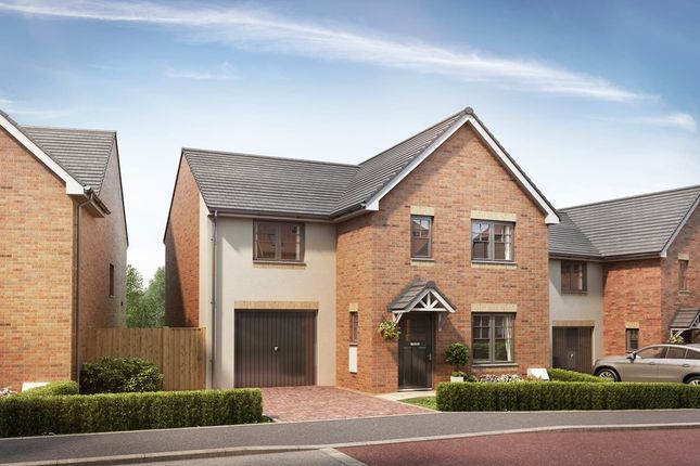 Thumbnail Detached house for sale in "The Amersham - Plot 259" at Western Way, Ryton