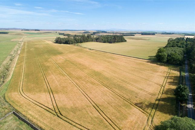 Thumbnail Land for sale in Lot 3 - Cammerlaws North, Gordon, Berwickshire