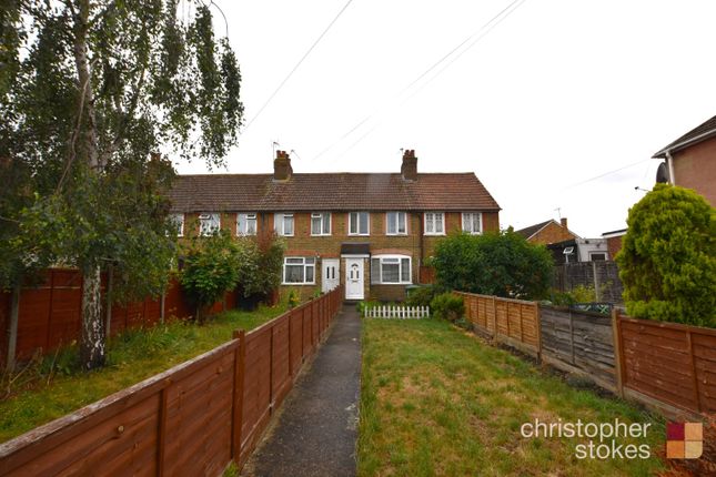 Thumbnail Terraced house to rent in Mill Lane, Cheshunt, Waltham Cross, Hertfordshire