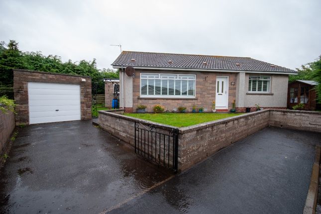 3 bed detached house to rent in School Road, Arbroath, Angus DD11