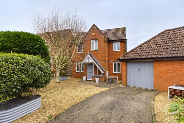 Cam00829P1-Pr0063-Still01